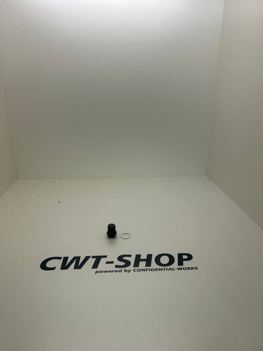 Ölablassschraube/Dichtring Ford Modelle