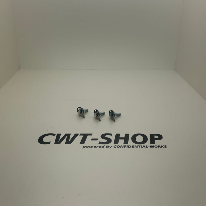 HD Downpipe Schraubenset mit Sicherung